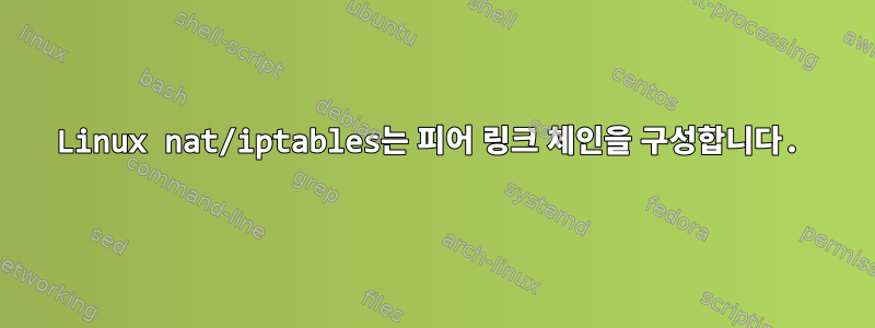 Linux nat/iptables는 피어 링크 체인을 구성합니다.