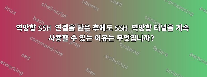 역방향 SSH 연결을 닫은 후에도 SSH 역방향 터널을 계속 사용할 수 있는 이유는 무엇입니까?