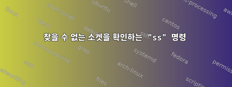 찾을 수 없는 소켓을 확인하는 "ss" 명령