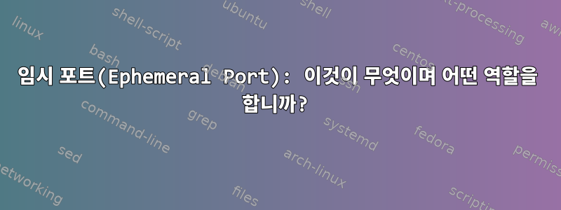 임시 포트(Ephemeral Port): 이것이 무엇이며 어떤 역할을 합니까?