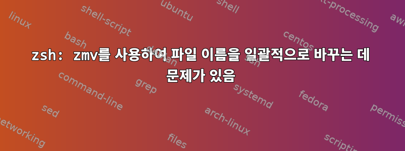 zsh: zmv를 사용하여 파일 이름을 일괄적으로 바꾸는 데 문제가 있음