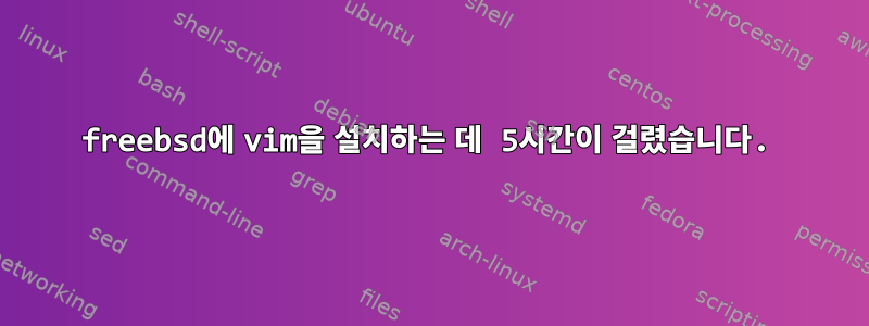 freebsd에 vim을 설치하는 데 5시간이 걸렸습니다.