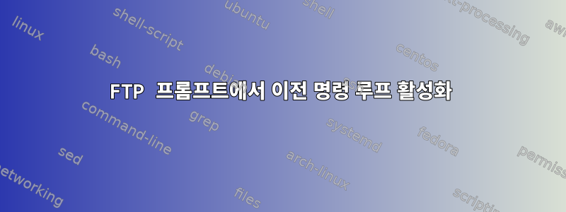 FTP 프롬프트에서 이전 명령 루프 활성화