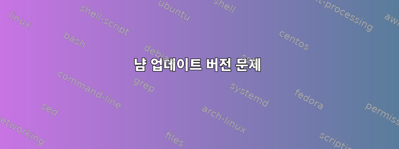 냠 업데이트 버전 문제