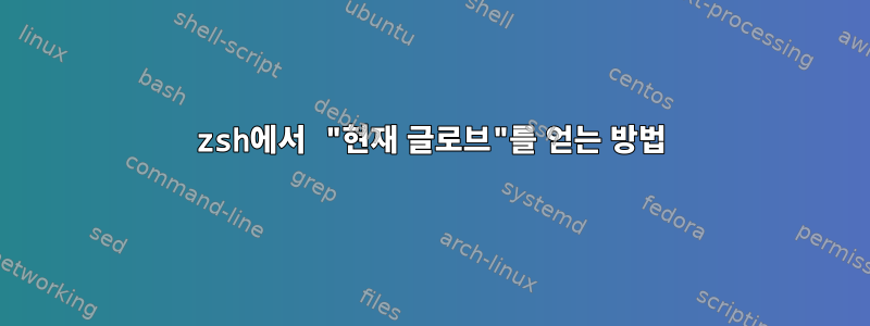 zsh에서 "현재 글로브"를 얻는 방법