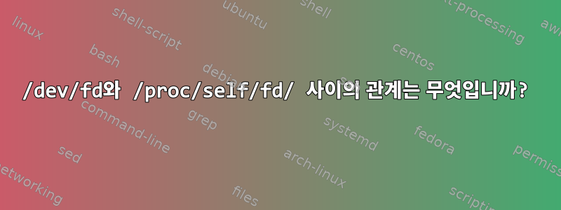 /dev/fd와 /proc/self/fd/ 사이의 관계는 무엇입니까?