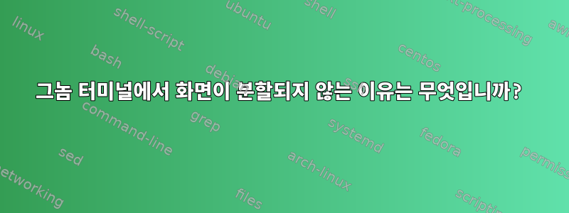 그놈 터미널에서 화면이 분할되지 않는 이유는 무엇입니까?