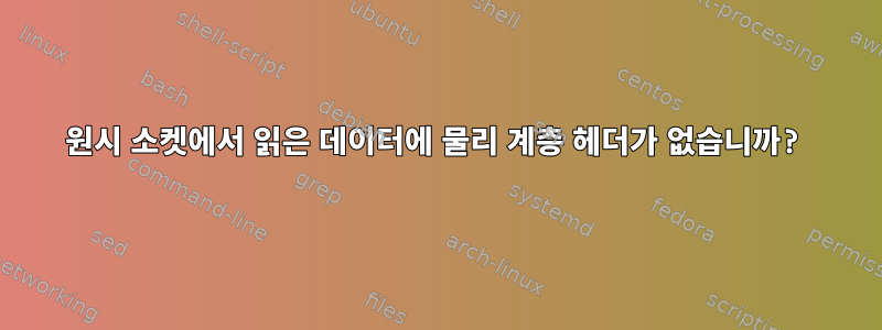 원시 소켓에서 읽은 데이터에 물리 계층 헤더가 없습니까?