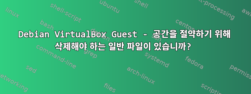 Debian VirtualBox Guest - 공간을 절약하기 위해 삭제해야 하는 일반 파일이 있습니까?