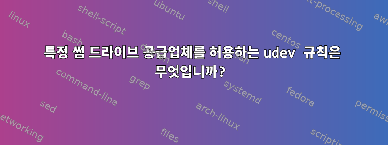 특정 썸 드라이브 공급업체를 허용하는 udev 규칙은 무엇입니까?