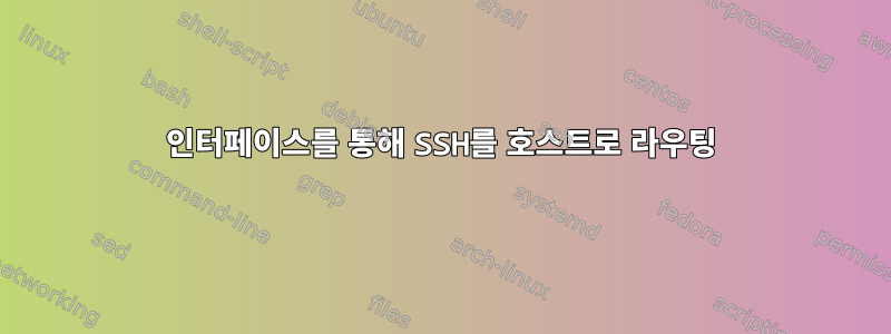 인터페이스를 통해 SSH를 호스트로 라우팅