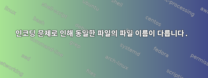 인코딩 문제로 인해 동일한 파일의 파일 이름이 다릅니다.