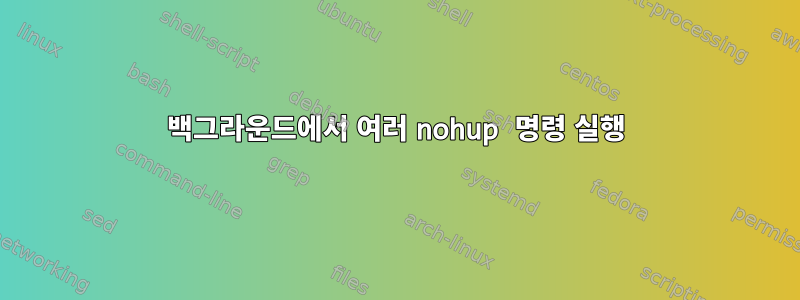 백그라운드에서 여러 nohup 명령 실행