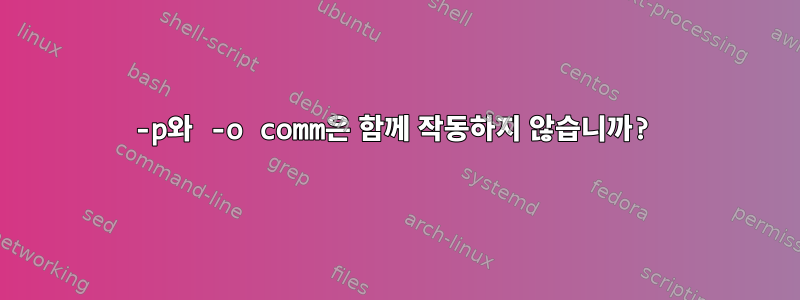 -p와 -o comm은 함께 작동하지 않습니까?