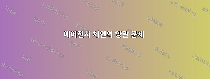 에이전시 체인의 양말 문제