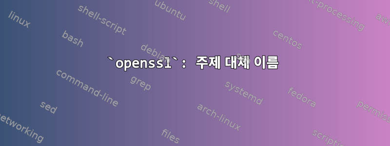 `openssl`: 주제 대체 이름