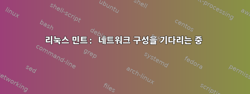 리눅스 민트: 네트워크 구성을 기다리는 중