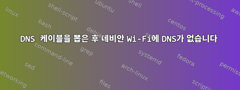 DNS 케이블을 뽑은 후 데비안 Wi-Fi에 DNS가 없습니다