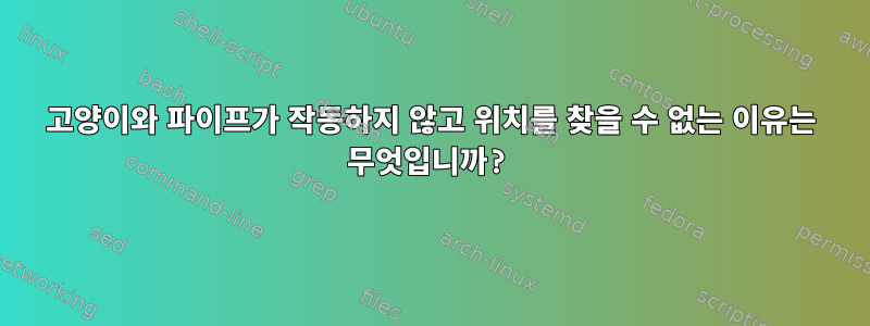 고양이와 파이프가 작동하지 않고 위치를 찾을 수 없는 이유는 무엇입니까?