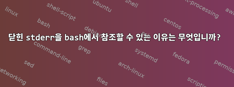 닫힌 stderr을 bash에서 참조할 수 있는 이유는 무엇입니까?