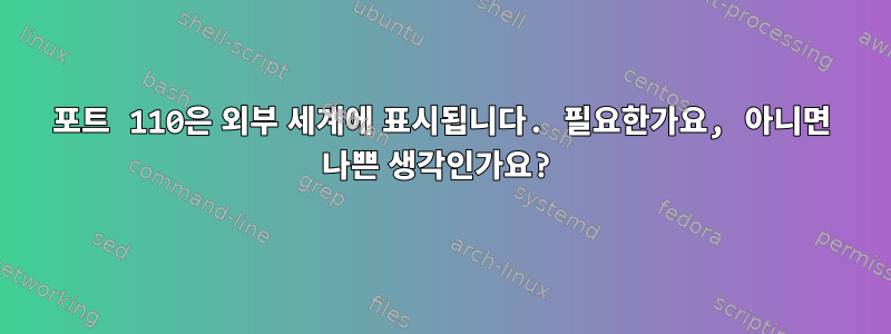 포트 110은 외부 세계에 표시됩니다. 필요한가요, 아니면 나쁜 생각인가요?