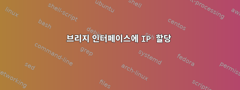 브리지 인터페이스에 IP 할당