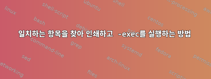 일치하는 항목을 찾아 인쇄하고 -exec를 실행하는 방법