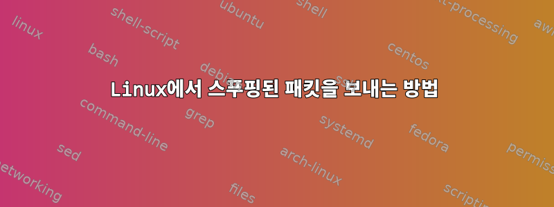 Linux에서 스푸핑된 패킷을 보내는 방법