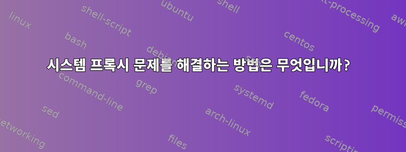 시스템 프록시 문제를 해결하는 방법은 무엇입니까?