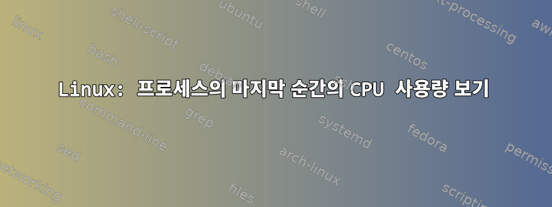 Linux: 프로세스의 마지막 순간의 CPU 사용량 보기