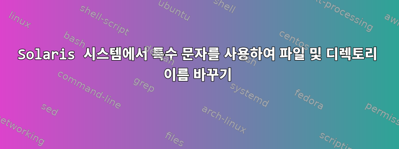 Solaris 시스템에서 특수 문자를 사용하여 파일 및 디렉토리 이름 바꾸기