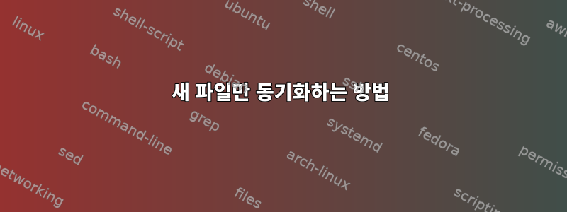 새 파일만 동기화하는 방법