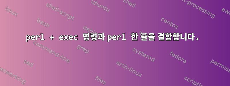 perl + exec 명령과 perl 한 줄을 결합합니다.