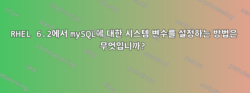 RHEL 6.2에서 mySQL에 대한 시스템 변수를 설정하는 방법은 무엇입니까?