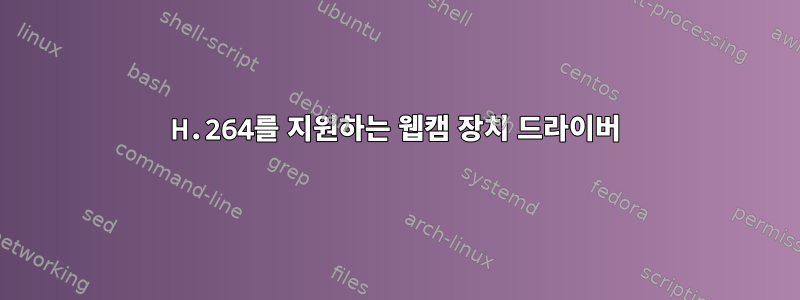 H.264를 지원하는 웹캠 장치 드라이버