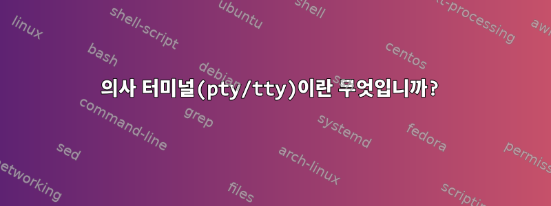 의사 터미널(pty/tty)이란 무엇입니까?