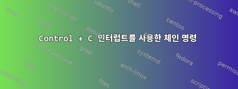 Control + C 인터럽트를 사용한 체인 명령