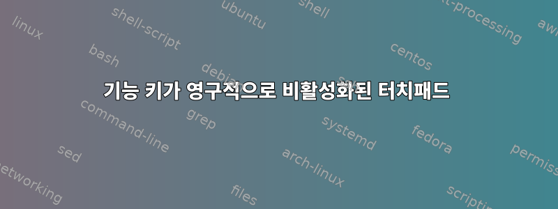 기능 키가 영구적으로 비활성화된 터치패드