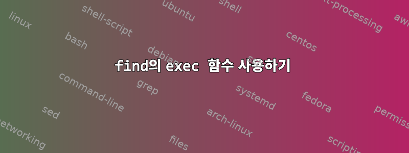 find의 exec 함수 사용하기