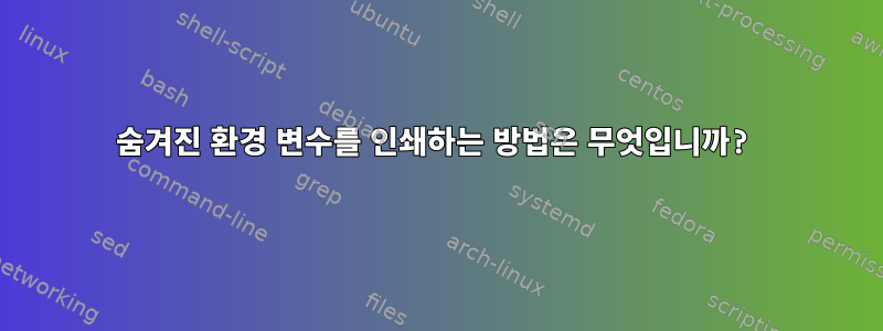 숨겨진 환경 변수를 인쇄하는 방법은 무엇입니까?