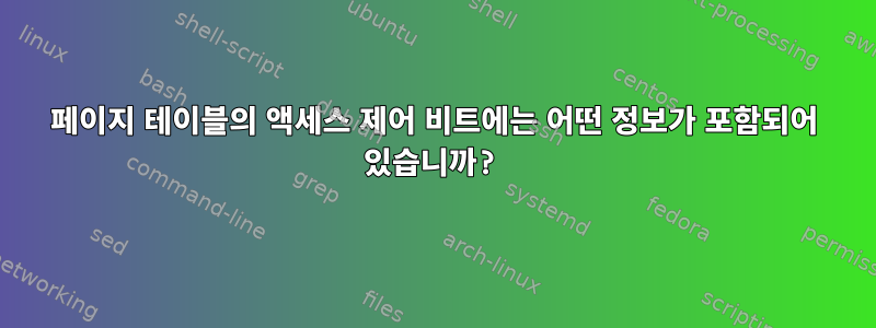 페이지 테이블의 액세스 제어 비트에는 어떤 정보가 포함되어 있습니까?