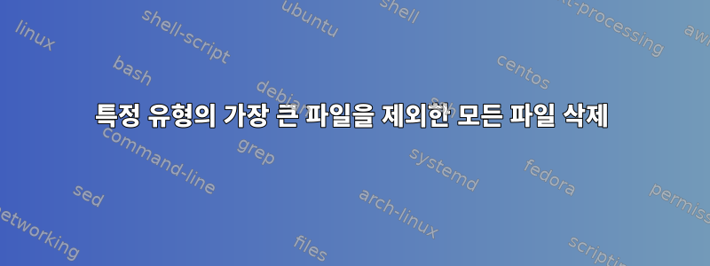 특정 유형의 가장 큰 파일을 제외한 모든 파일 삭제