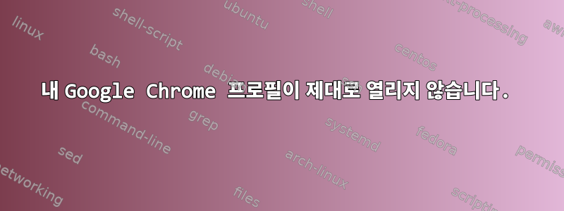 내 Google Chrome 프로필이 제대로 열리지 않습니다.