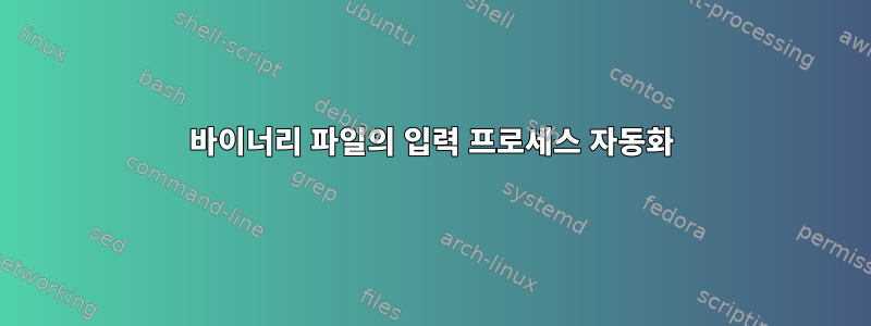 바이너리 파일의 입력 프로세스 자동화