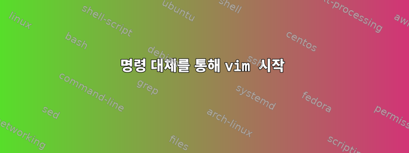 명령 대체를 통해 vim 시작