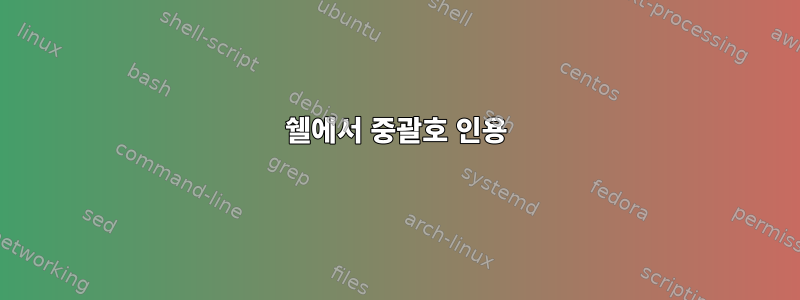 쉘에서 중괄호 인용