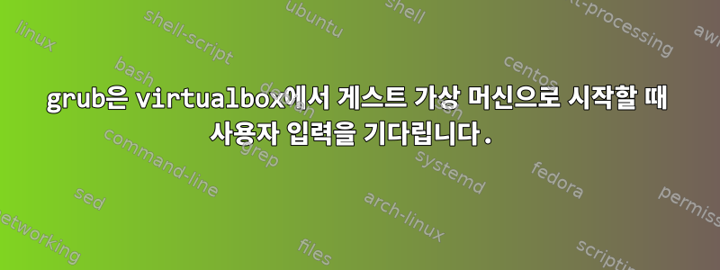 grub은 virtualbox에서 게스트 가상 머신으로 시작할 때 사용자 입력을 기다립니다.