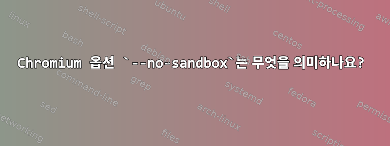 Chromium 옵션 `--no-sandbox`는 무엇을 의미하나요?