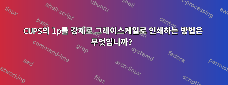 CUPS의 lp를 강제로 그레이스케일로 인쇄하는 방법은 무엇입니까?