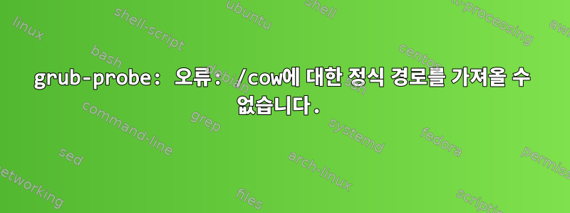 grub-probe: 오류: /cow에 대한 정식 경로를 가져올 수 없습니다.